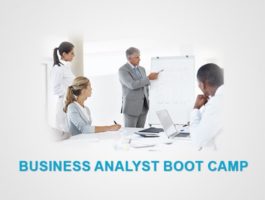 Business Analysis Boot Camp